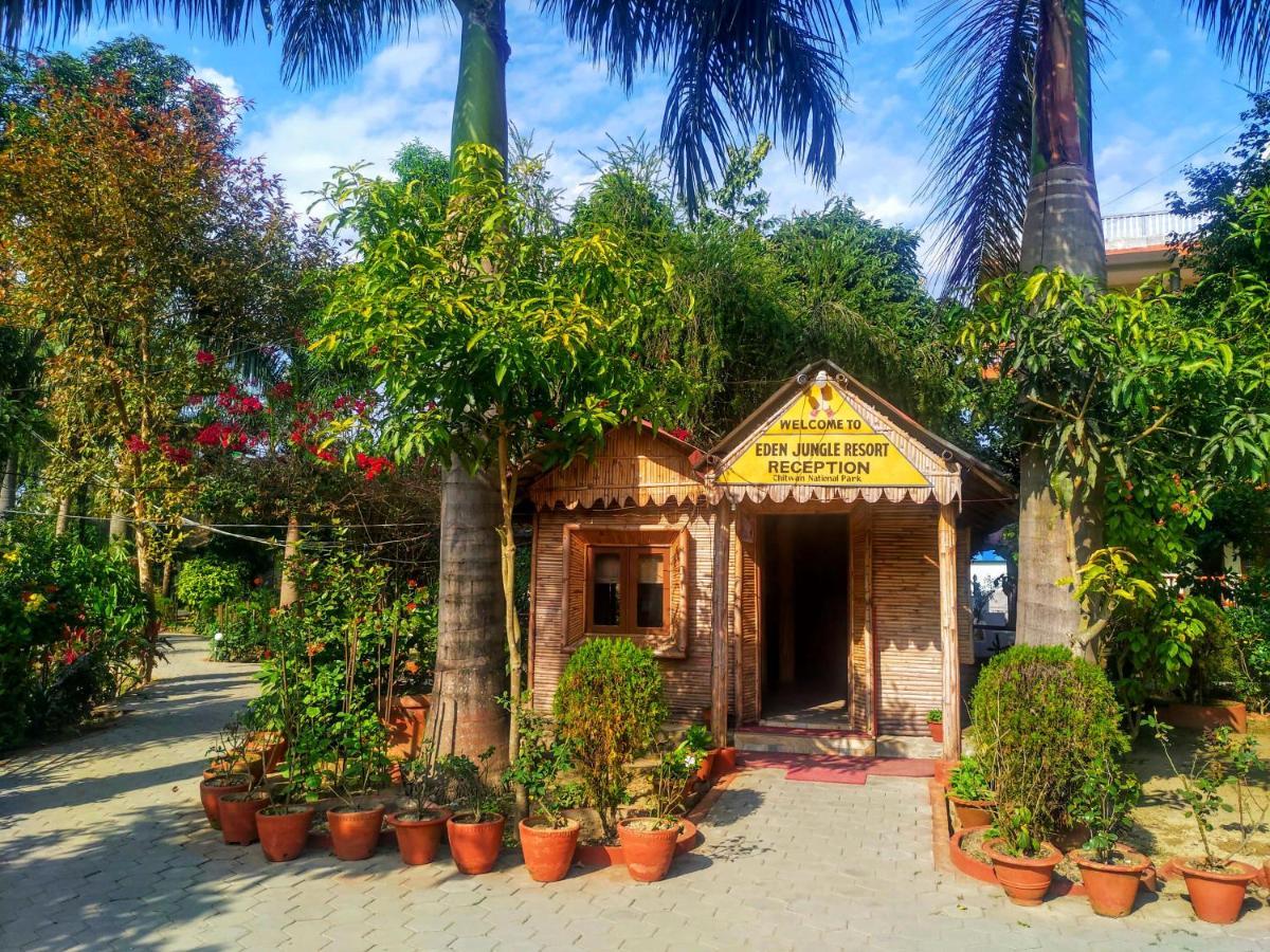 Eden Jungle Resort Sauraha Eksteriør billede