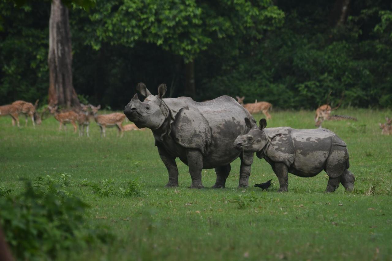 Eden Jungle Resort Sauraha Eksteriør billede