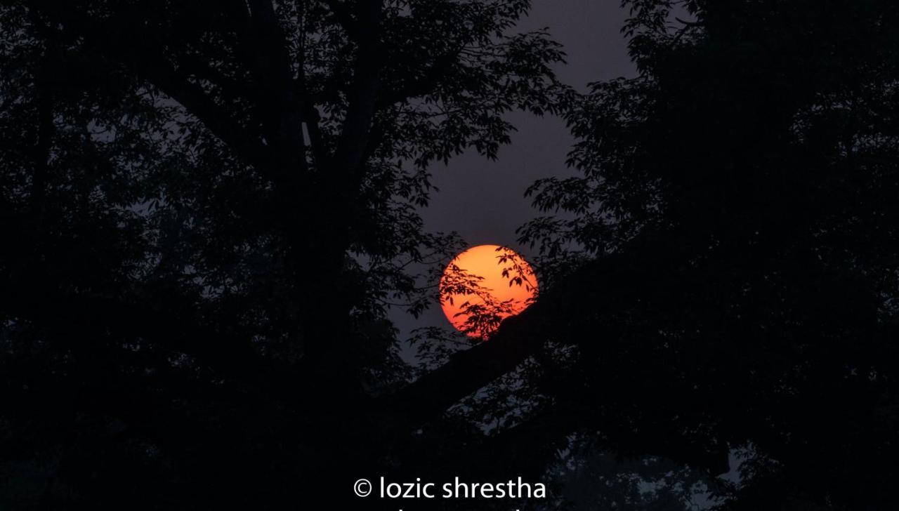 Eden Jungle Resort Sauraha Eksteriør billede