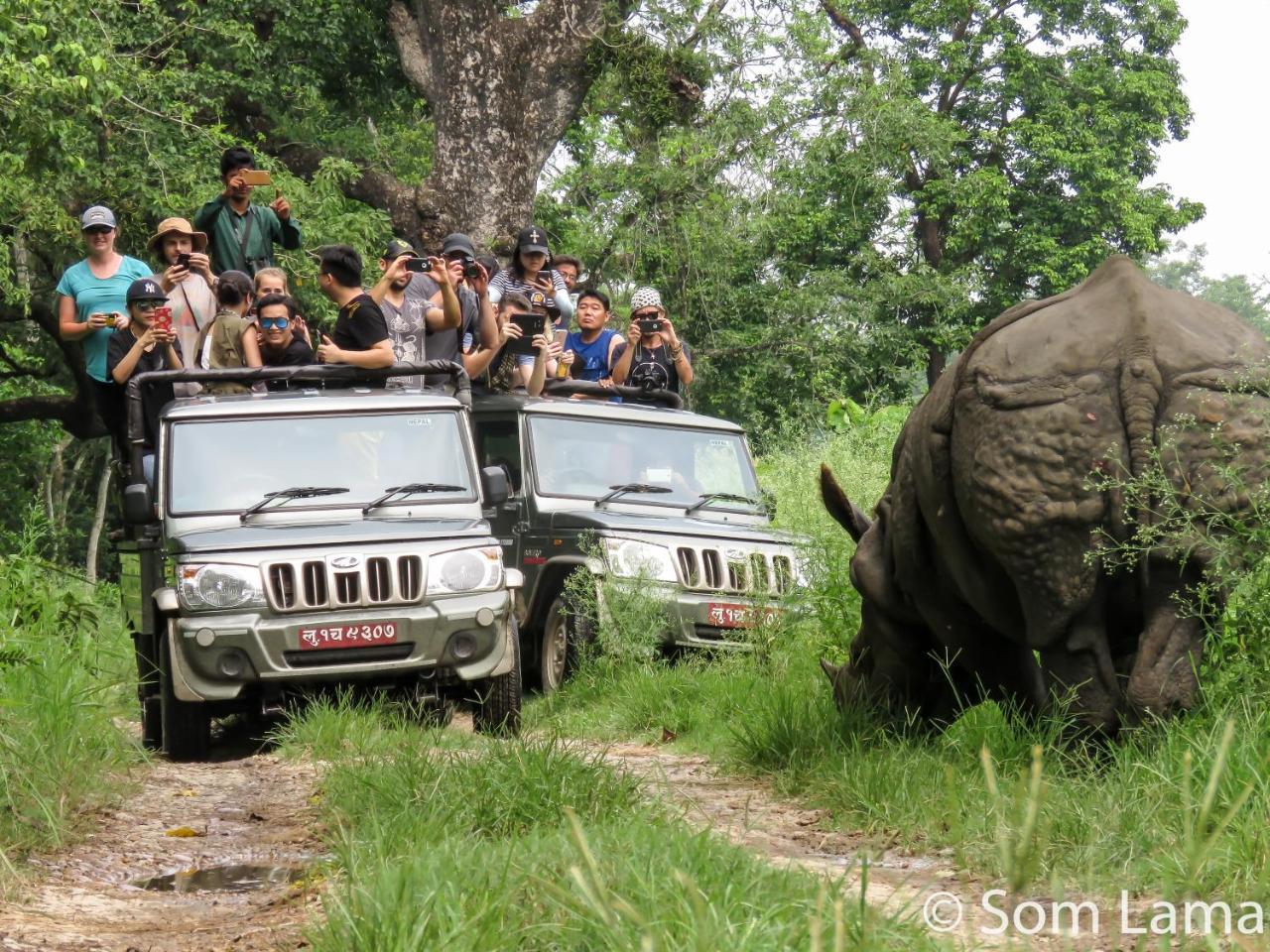 Eden Jungle Resort Sauraha Eksteriør billede