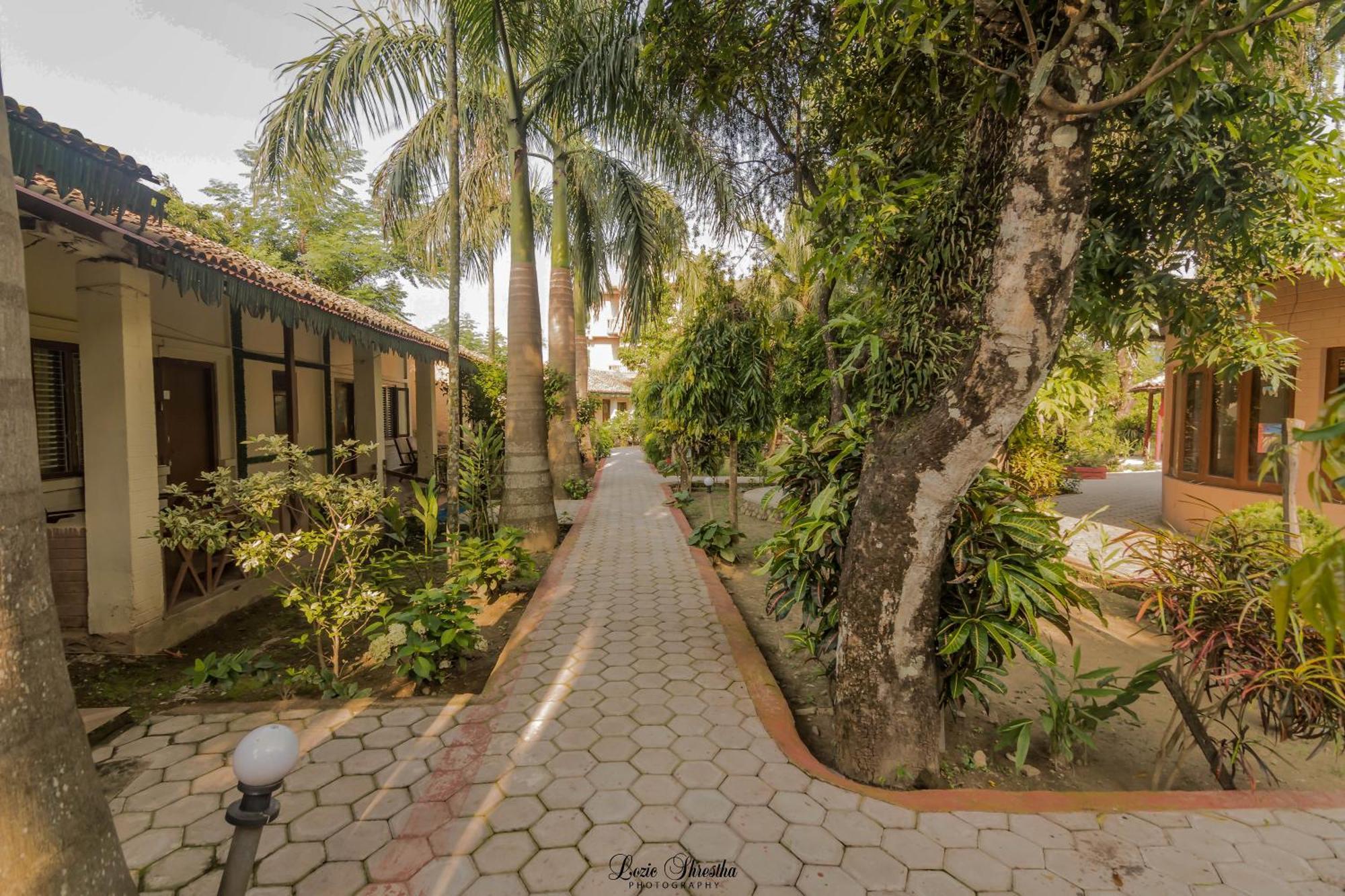 Eden Jungle Resort Sauraha Eksteriør billede