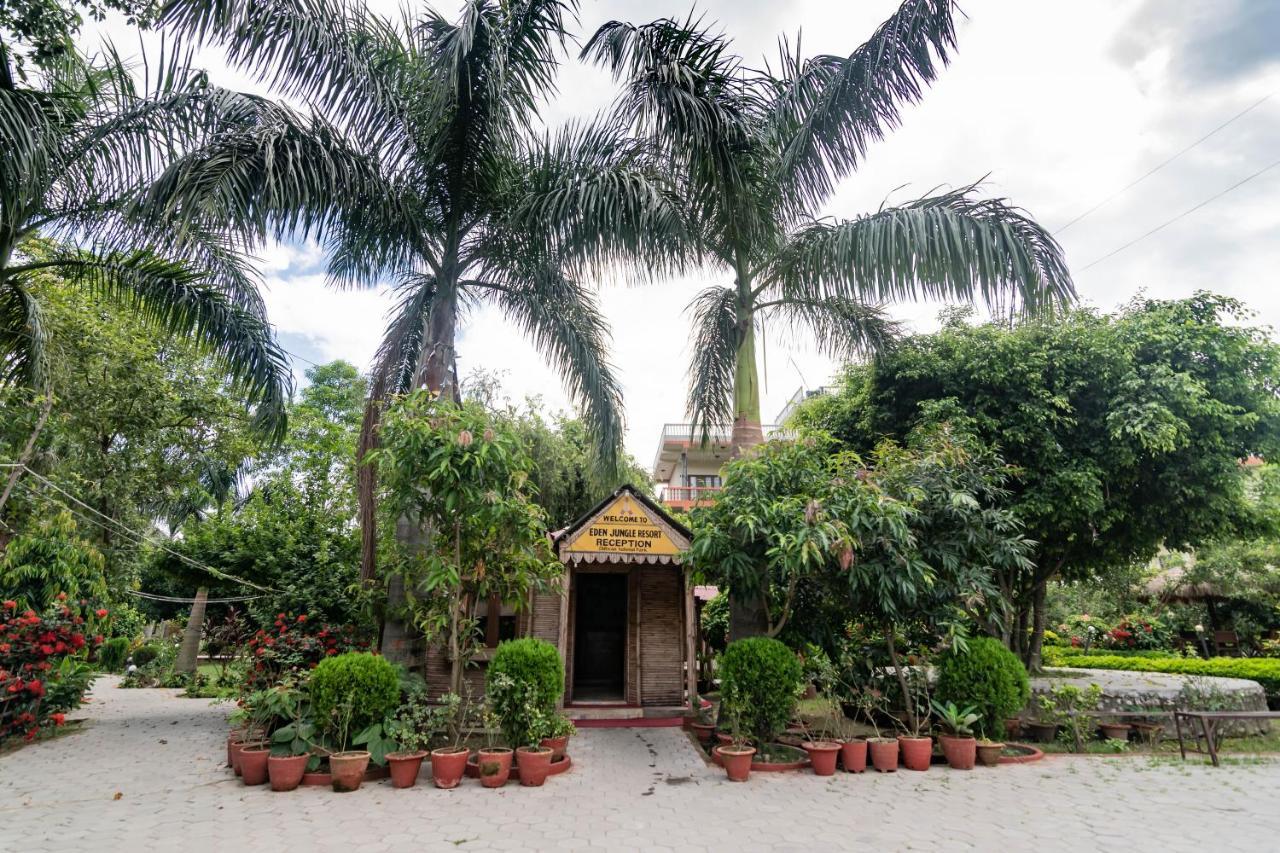 Eden Jungle Resort Sauraha Eksteriør billede