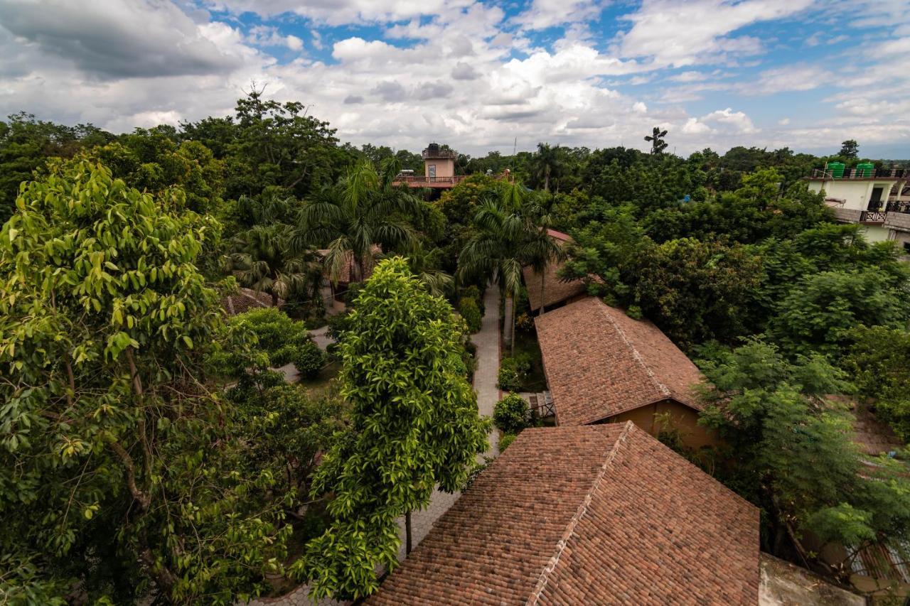 Eden Jungle Resort Sauraha Eksteriør billede