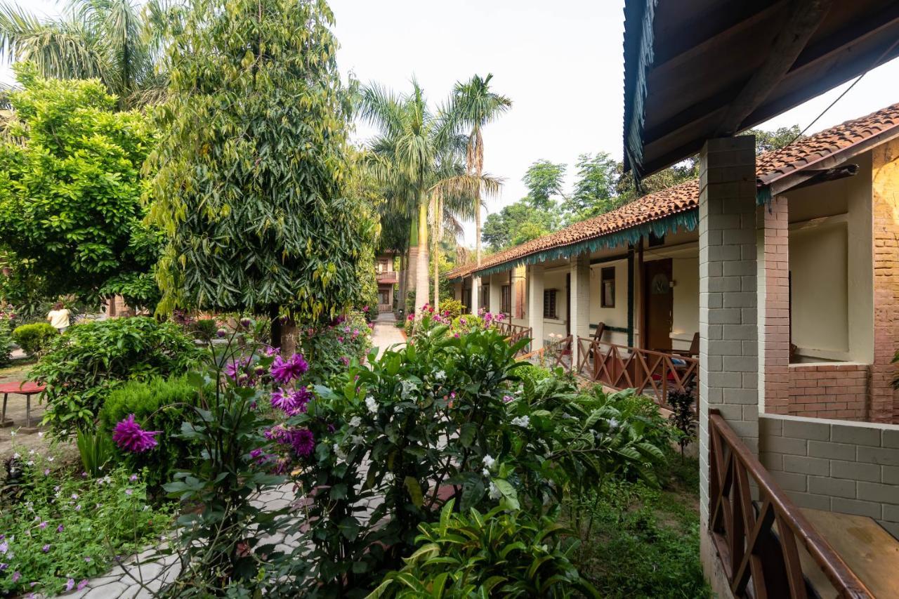 Eden Jungle Resort Sauraha Eksteriør billede