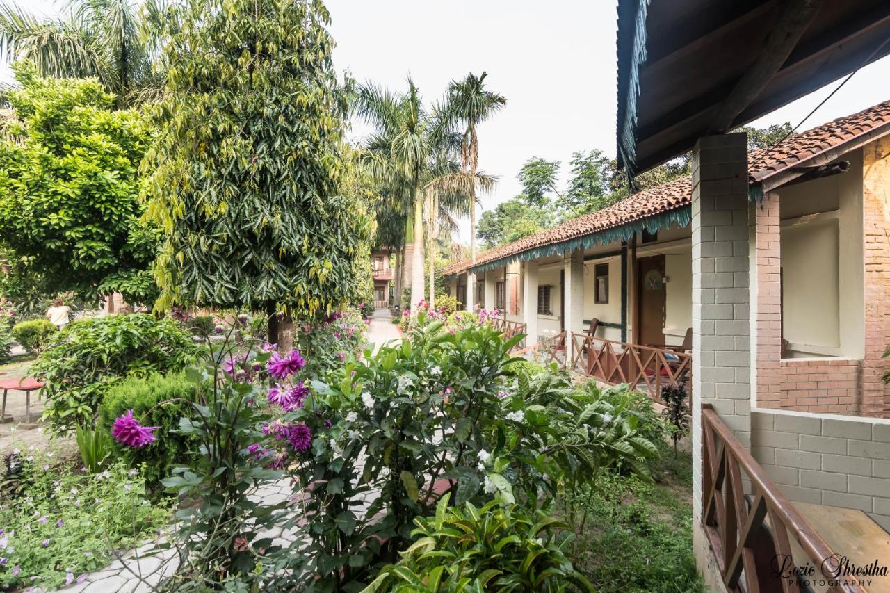 Eden Jungle Resort Sauraha Eksteriør billede